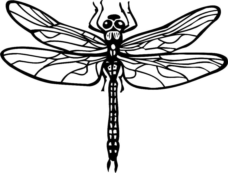 Libelule