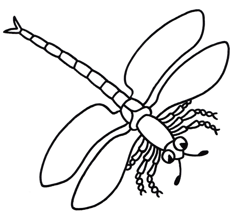 Libelule
