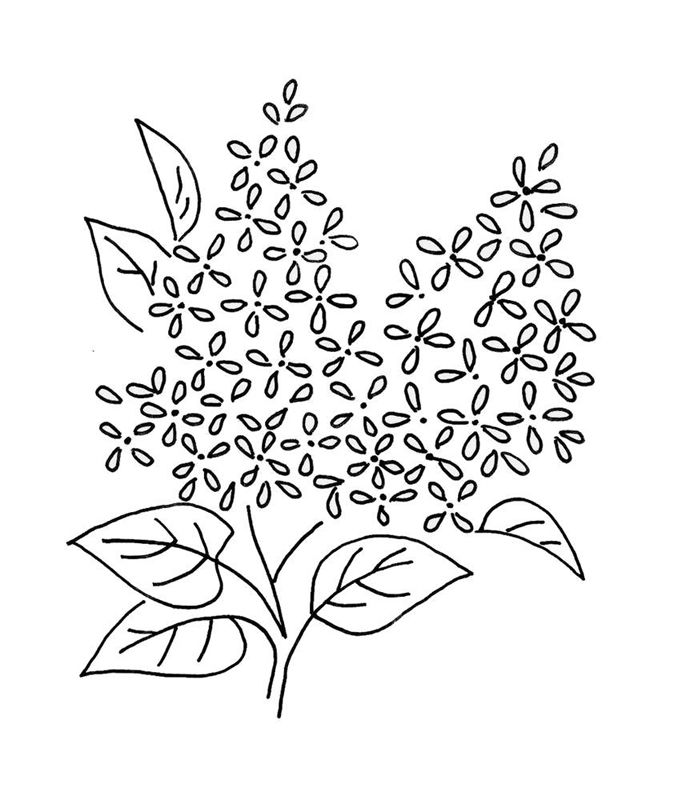 Liliac