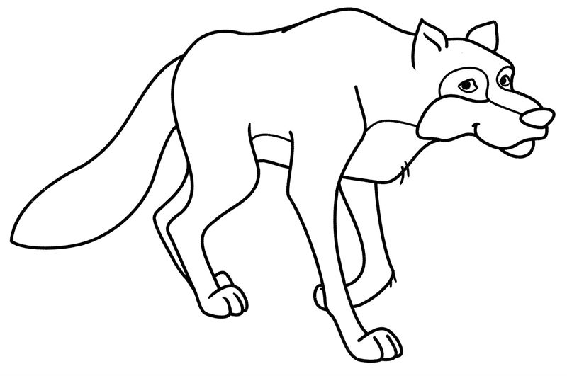 Lupi
