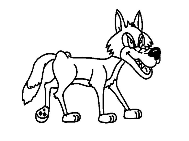 Lupi