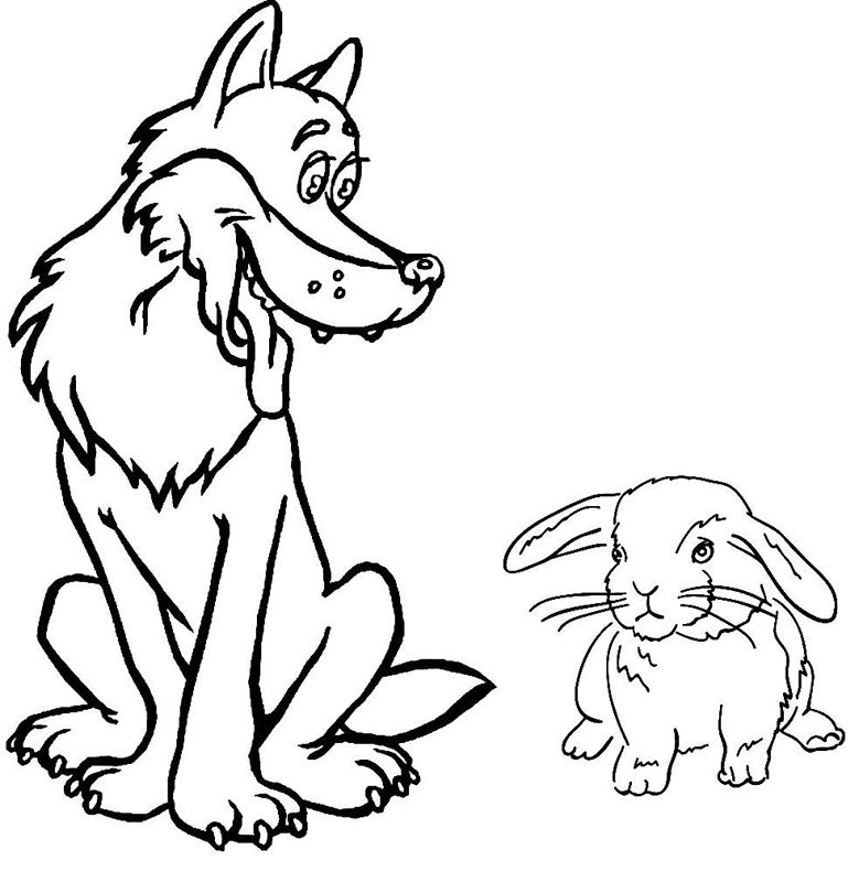 Lupi