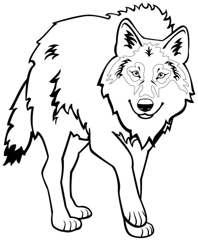 Lupi