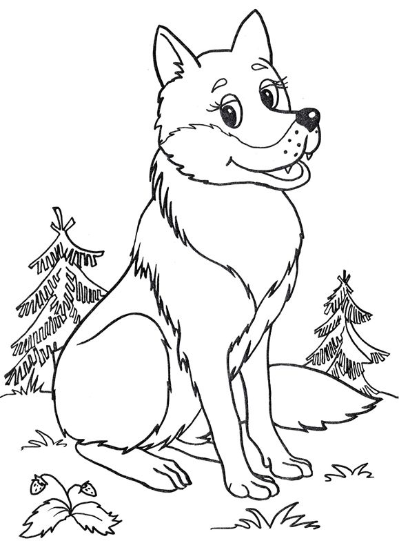 Lupi