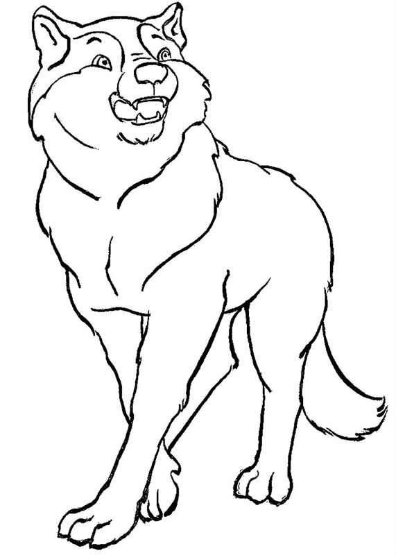 Lupi