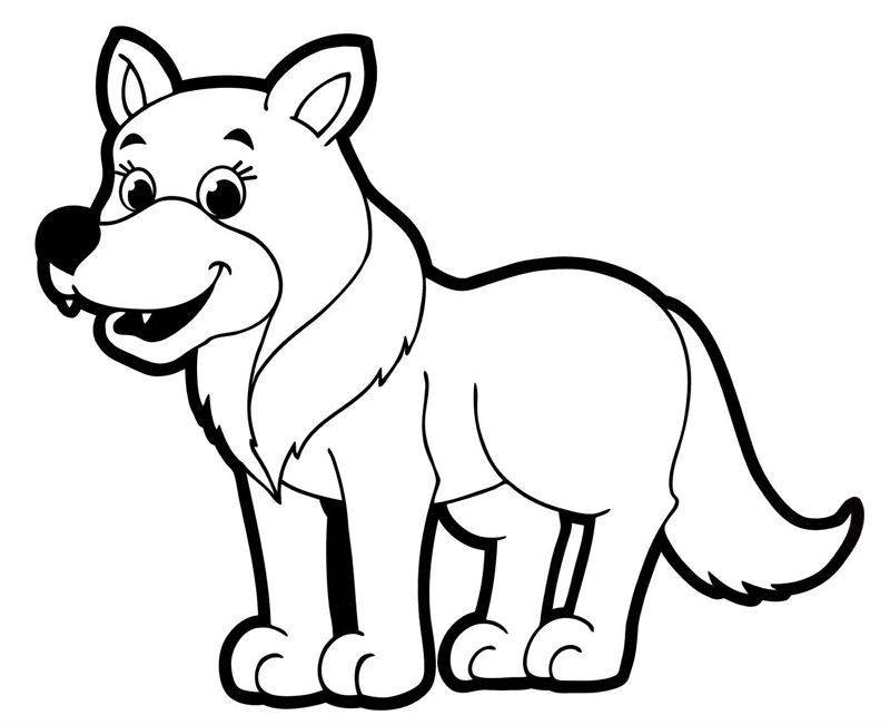 Lupi