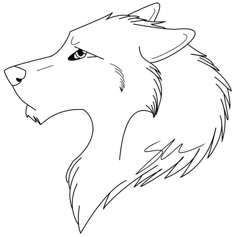 Lupi