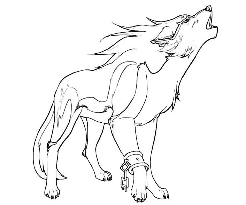 Lupi