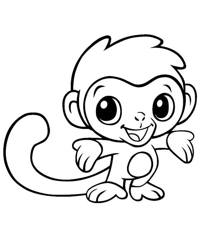 Maimute