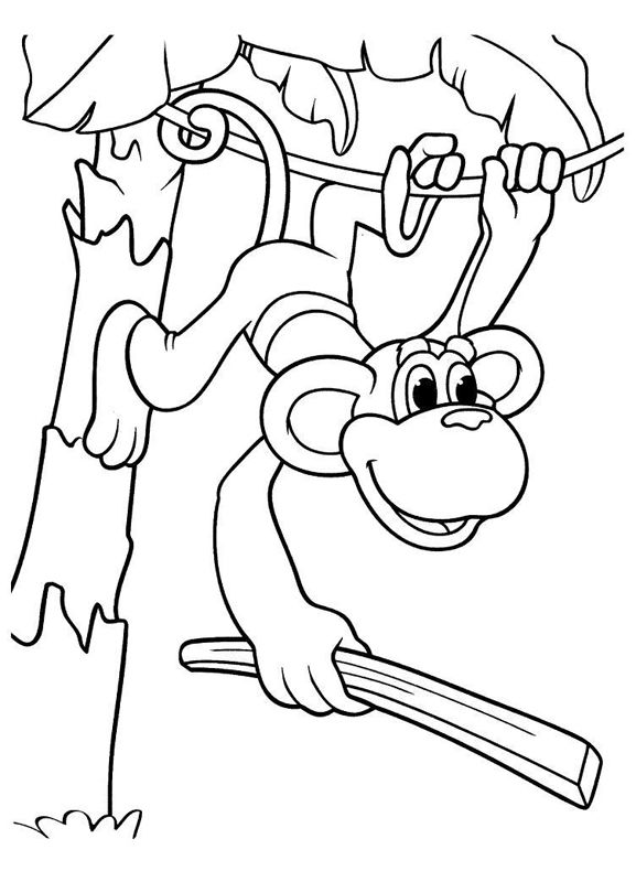 Maimute