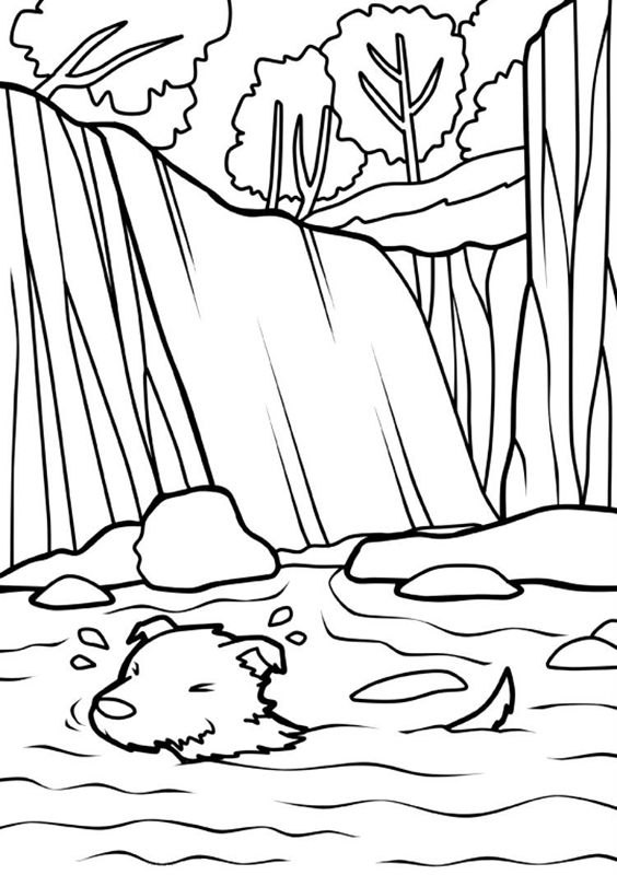 Cascade